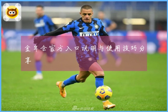 金年会官方入口说明与使用技巧分享