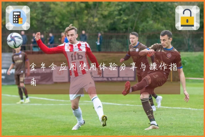 金年会应用使用体验分享与操作指南